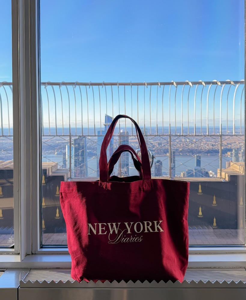 NYC Diaries I  Burgundy bag