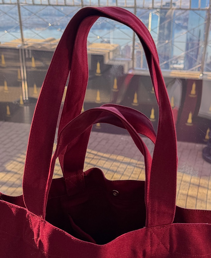 NYC Diaries I  Burgundy bag