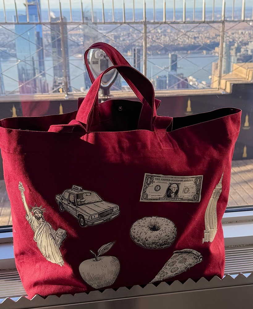 NYC Diaries I  Burgundy bag